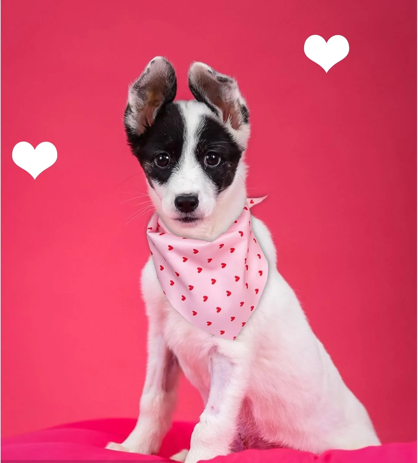 2 Pack Dog Bandanas, Cute Dog Bandana for Small Medium Large Dogs