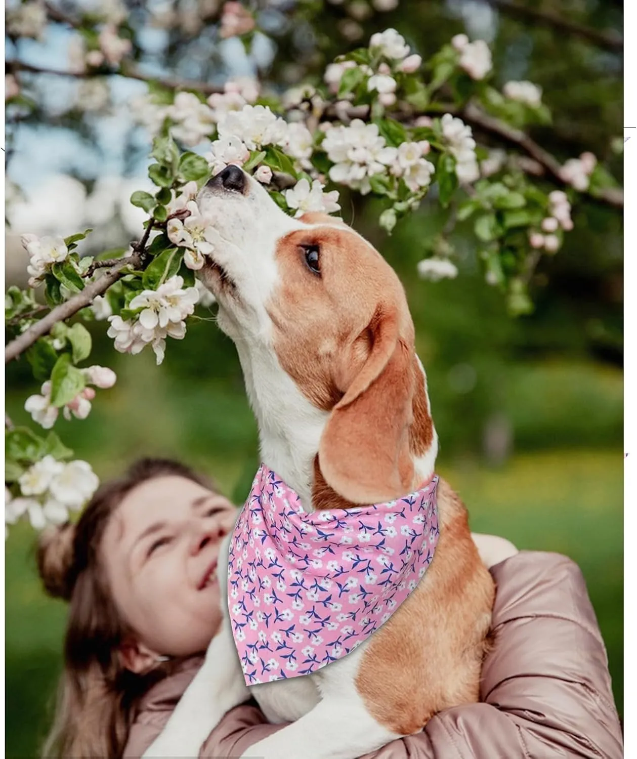 2 Pack Dog Bandanas, Cute Dog Bandana for Small Medium Large Dogs