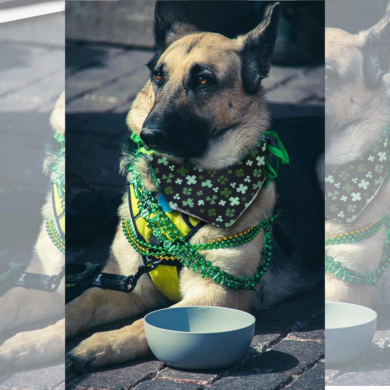 2 Pack Dog Bandanas, Cute Dog Bandana for Small Medium Large Dogs