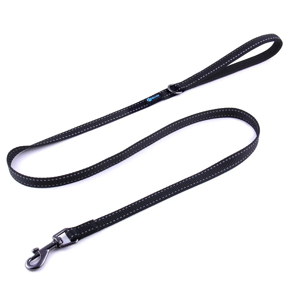 4 FT x 5/8" Wide Small Dog Nylon Reflective Dog Leash