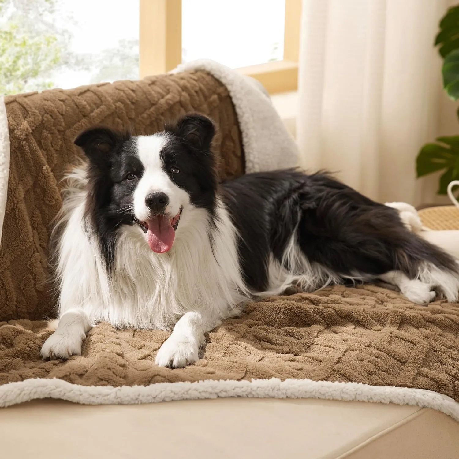 Bedsure Waterproof Dog Blankets for Large Dogs - Pet Blanket for Couch Protector Washable, Premium Jacquard Coral Fleece Cat Throw Blanket, Soft Plush Reversible Furniture Protection,40"x50", Taupe