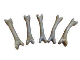 Belly Bone Large Fido