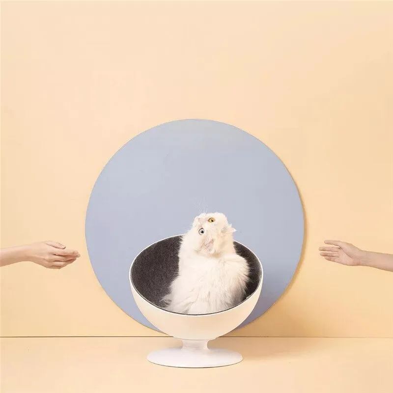 Best and Perfect Place Cat Nap Rotational Interaction Funny Beds Sleeping