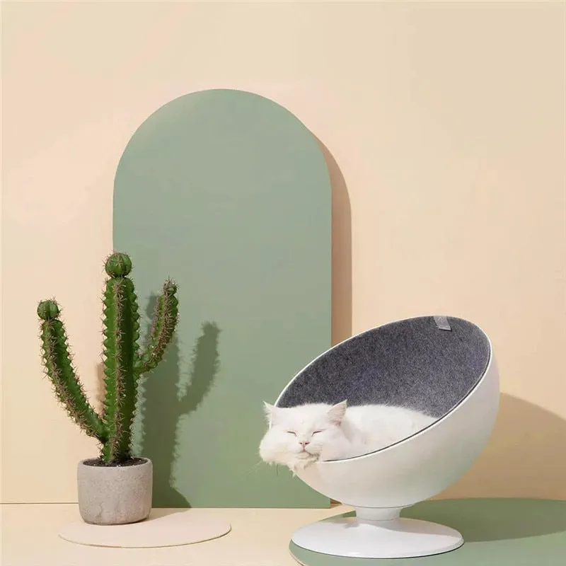 Best and Perfect Place Cat Nap Rotational Interaction Funny Beds Sleeping