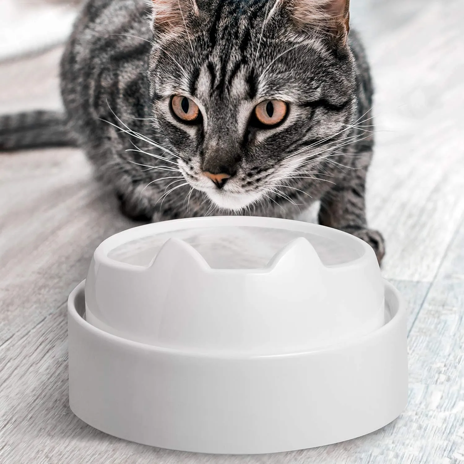 CatGuru Whisker Stress Free Cat Water Bowl, Reliefs Whisker Fatigue, Wide Cat Dish, Non Slip Pet Feeding Bowl, Shallow Pet Food Water Bowls, Non Skid Bowls for Cats (Marshmallow)