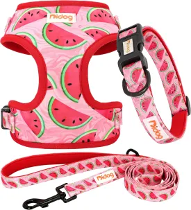 Didog No Pull Dog Harness Collar and Leash Set, Cute Pattern Puppy Dog Harness with Adjustable Collars and Leash, Soft Padded Air Mesh Vest for Small Dogs Walking Training(Watermelon, S)