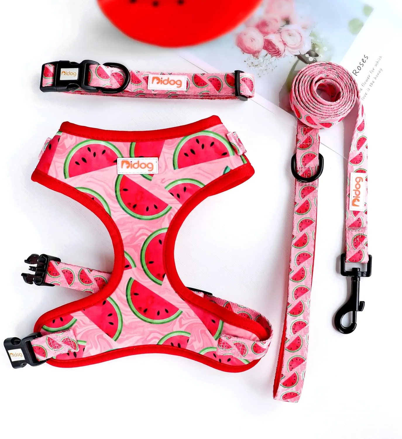 Didog No Pull Dog Harness Collar and Leash Set, Cute Pattern Puppy Dog Harness with Adjustable Collars and Leash, Soft Padded Air Mesh Vest for Small Dogs Walking Training(Watermelon, S)