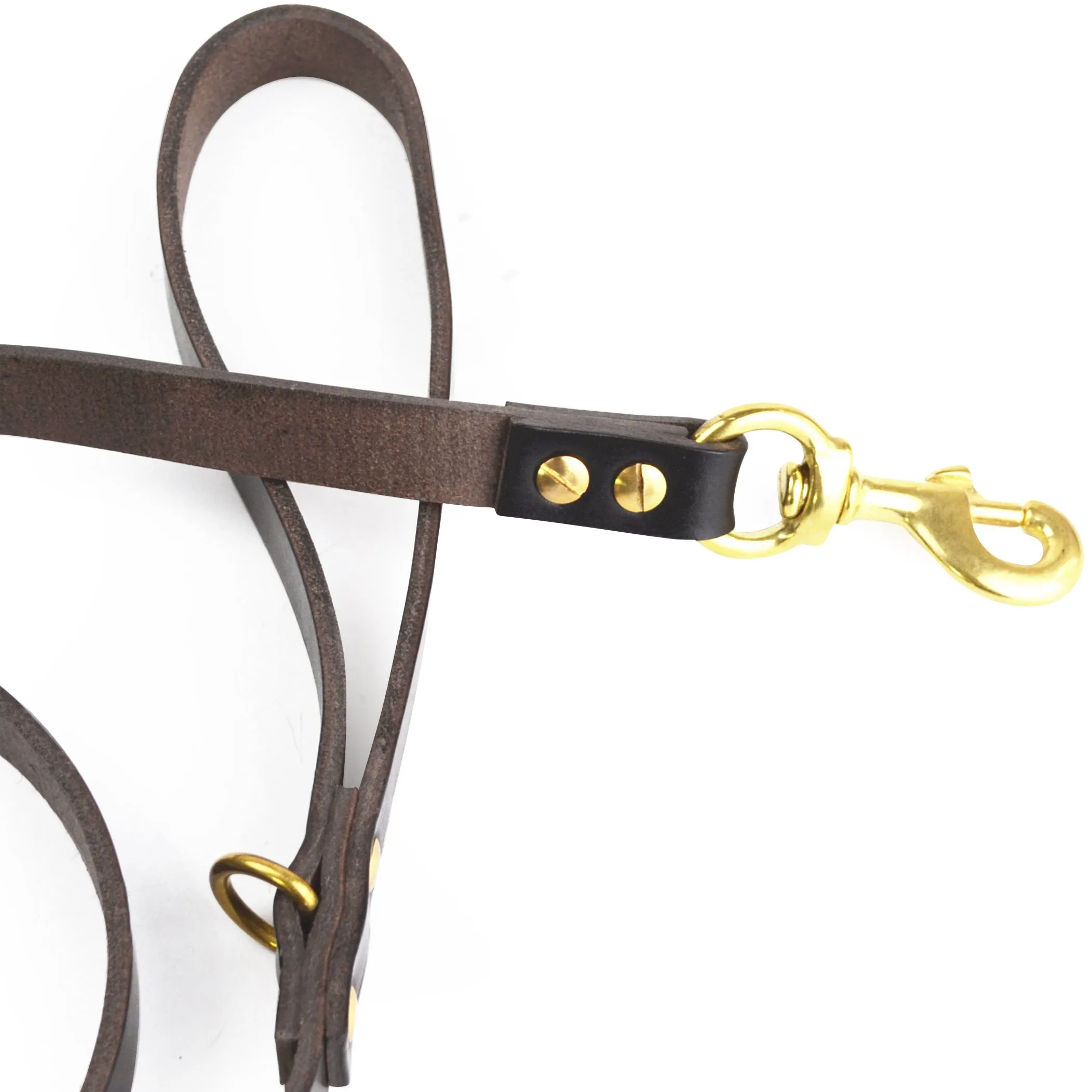 Dog Leashes