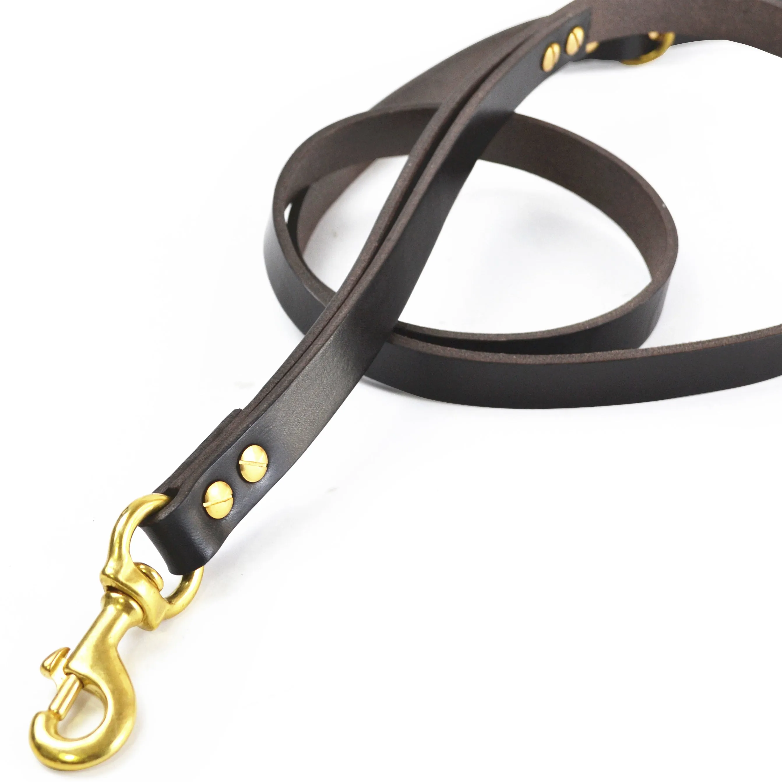 Dog Leashes