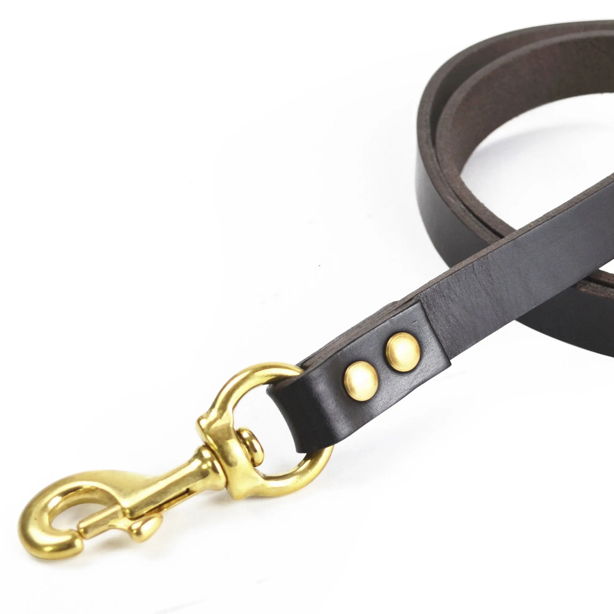Dog Leashes