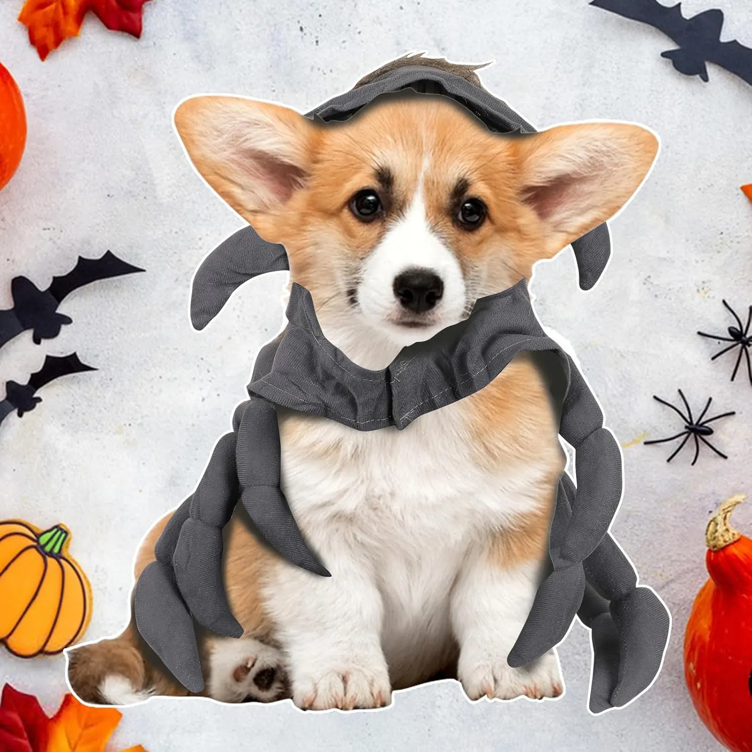 Dog Spider Costume Pet Spider Costume Dog Halloween Costume Holiday Dog Clothes Pet Costumes, Grey