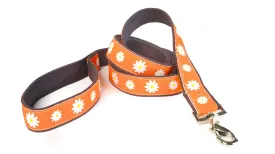 EarthDog Decorative Leashes