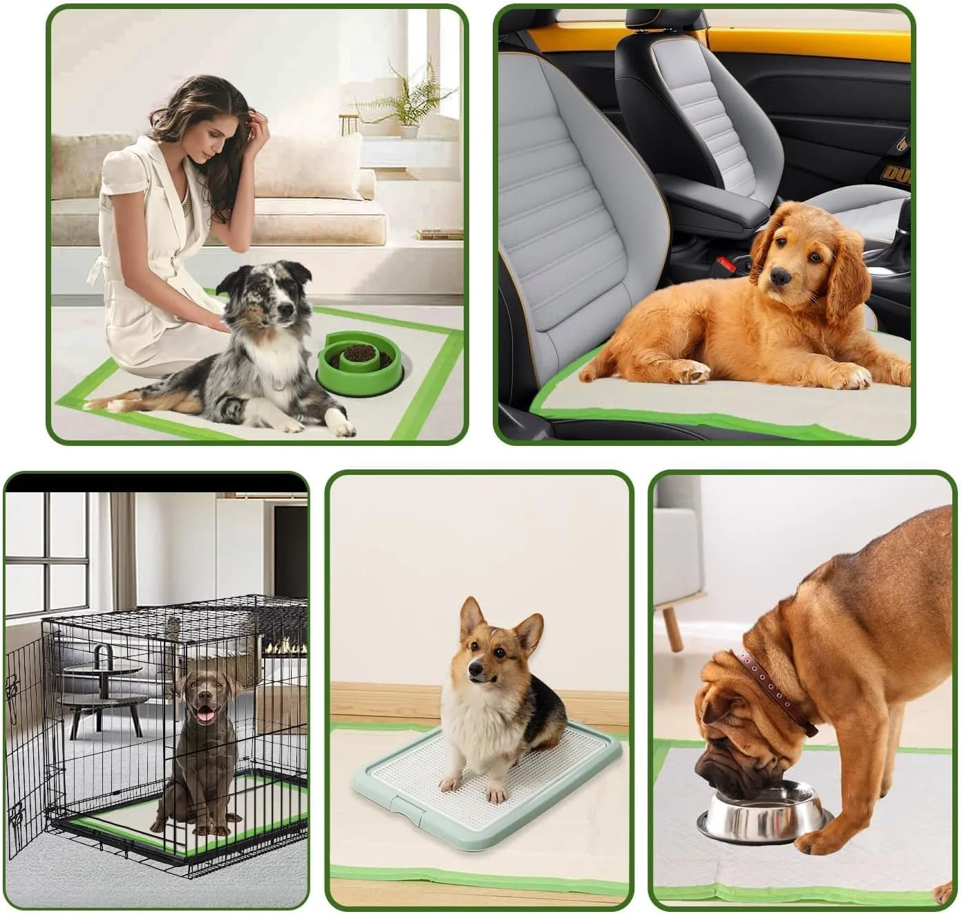 Gardner Pet Dog Pee Pads Rugular 22"x22", Thicker ECO Green Small Disposable Puppy Training Pads Super Absorbent Full Edge-Wrapping Pad for Dogs, Puppies, Doggies, Cats-(50 Count)