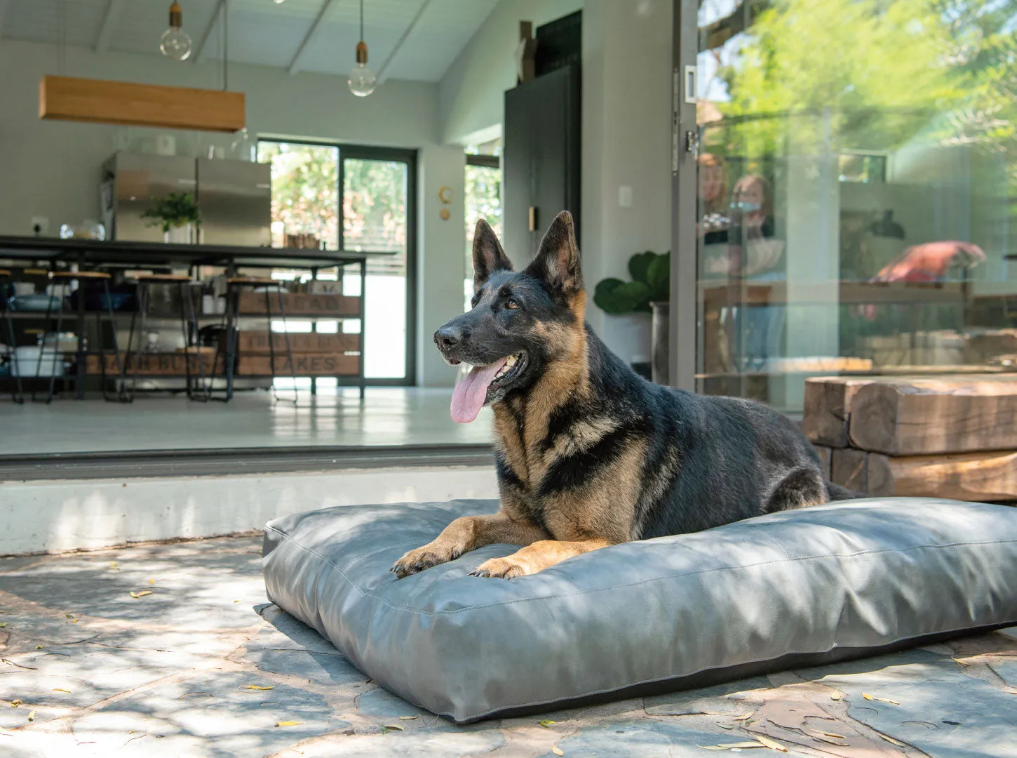 Gunner Dog Cushion