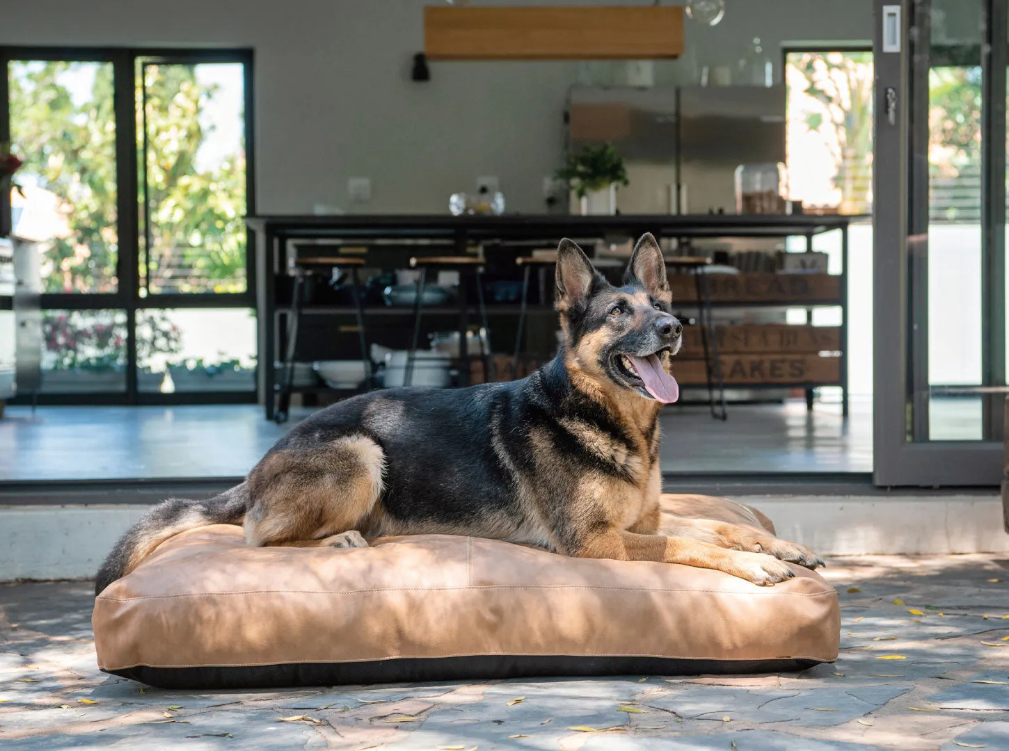 Gunner Dog Cushion