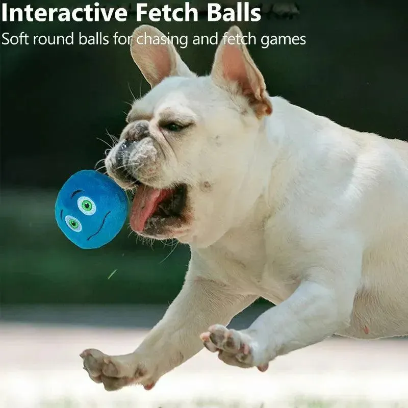 Interactive Squeaker Ball Fetch Chew Dog Toy