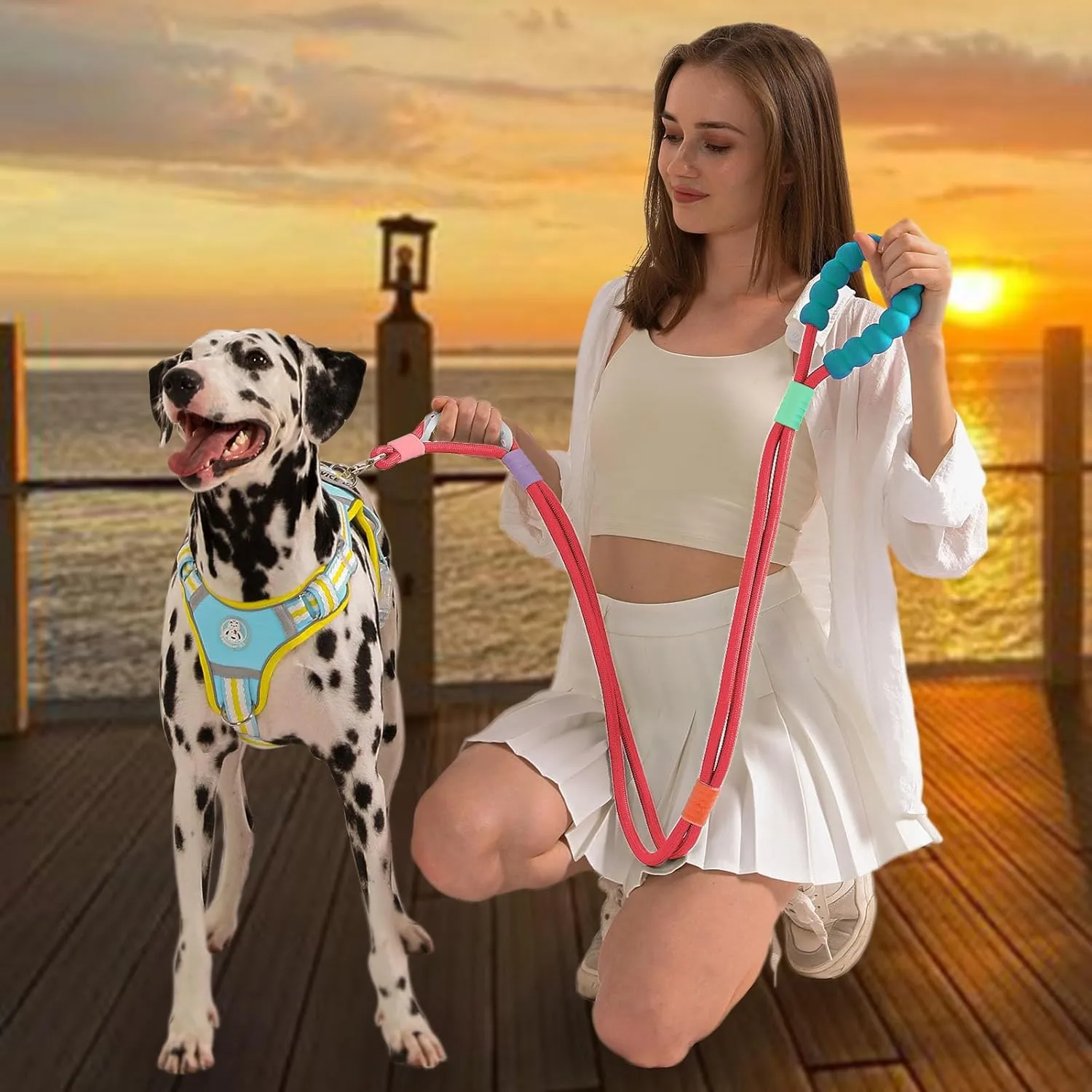 JSXD Dog Leash,5 FT Heavy Duty Dog Training Leash,Double Handle Comfortable Padded Hands Free Dog Leash,Adjustable Crossbody Waist Leash for Small Medium Large Dogs(Red)