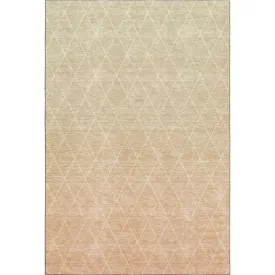 Lazio LZ2 Salmon Rug