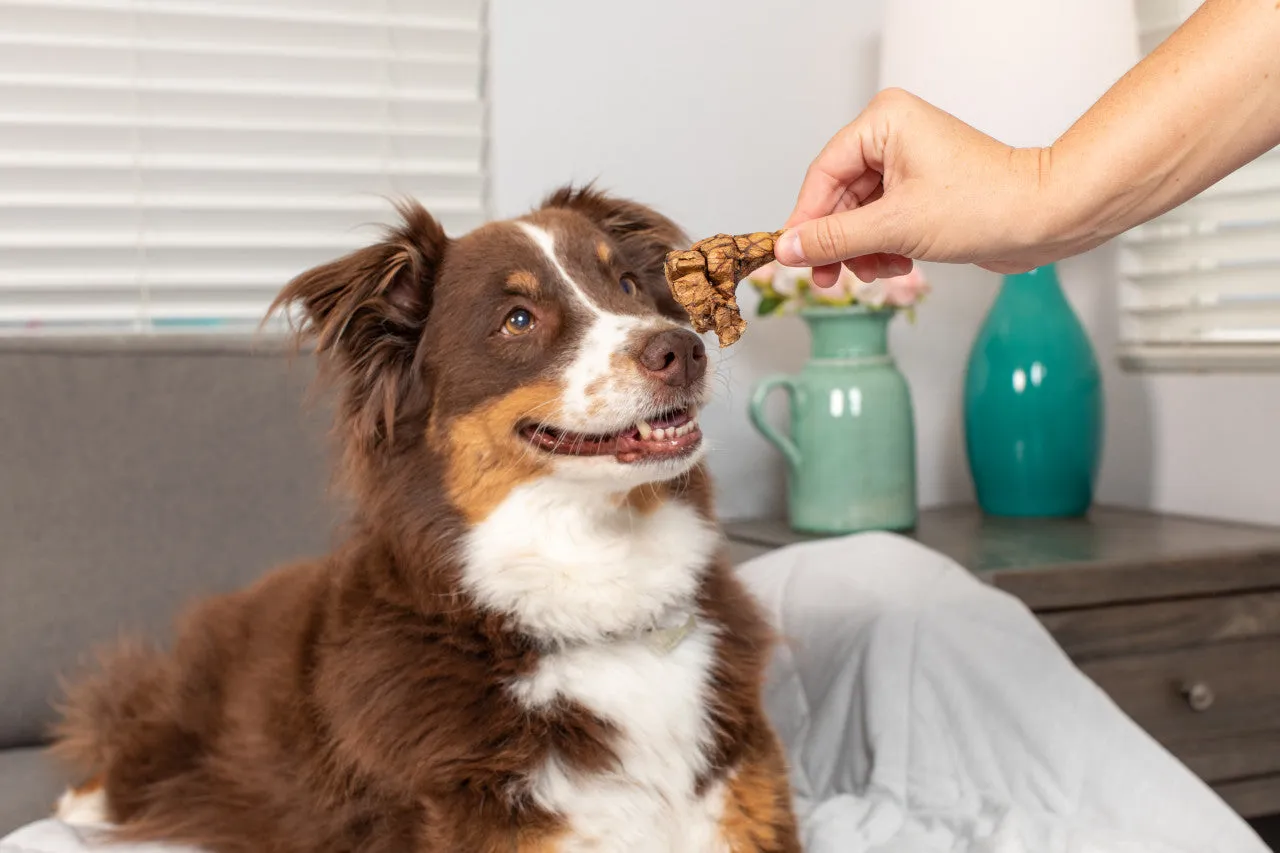 Natural Cravings USA Beef Roaster Bites For Small Medium Large to XL Dogs / Small Crunchy Treat