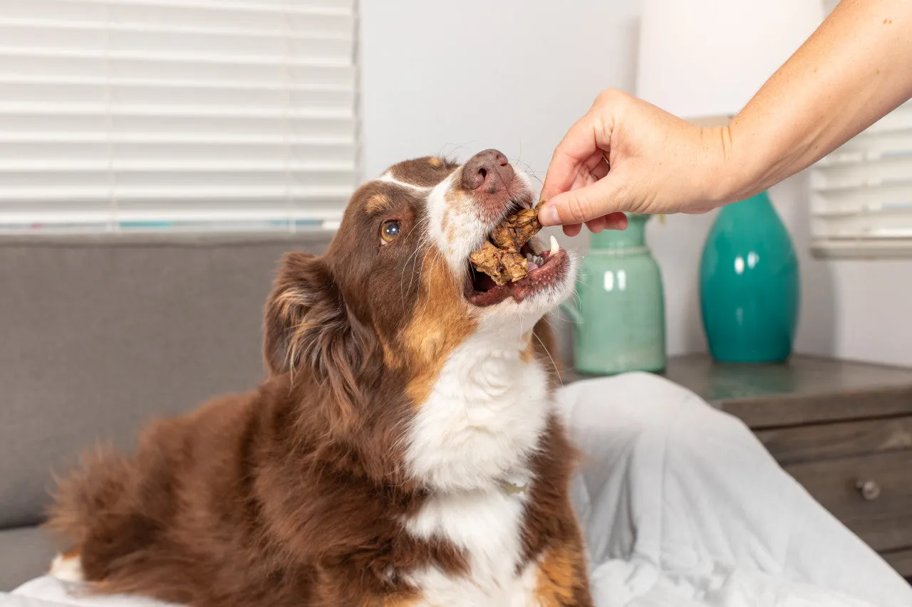 Natural Cravings USA Beef Roaster Bites For Small Medium Large to XL Dogs / Small Crunchy Treat