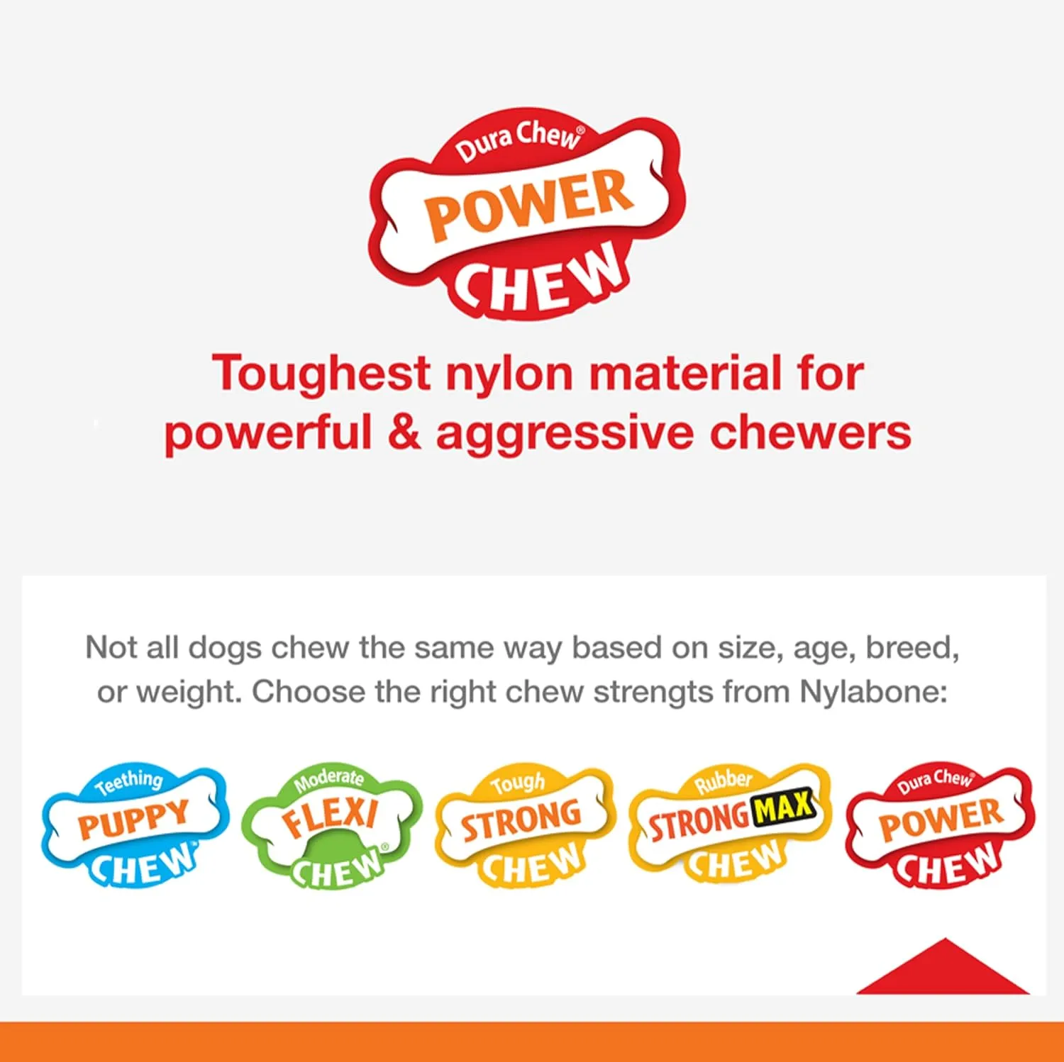 Nylabone Ring Bone Power Chew Toy for Dogs, Dog Toys for Aggressive Chewers, Flavor Medley Flavor, X-Small - Up to 15 lbs, 1 Count