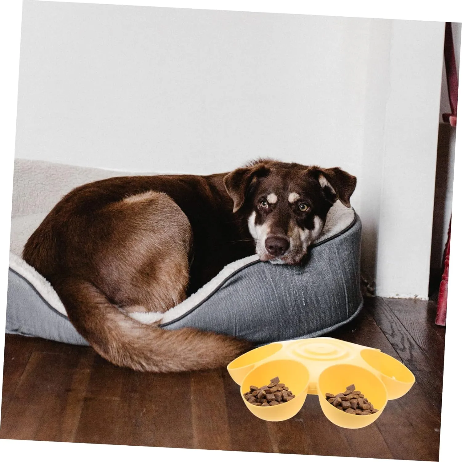 Pet Feeding Bowl Pet Feeders Cat Bowls for Food and Water Indoor Water Fountains Food Dispenser Eating Station for Cats Puppy Bowls Dog Food Bowls Travel Round Plastic Pet Supplies