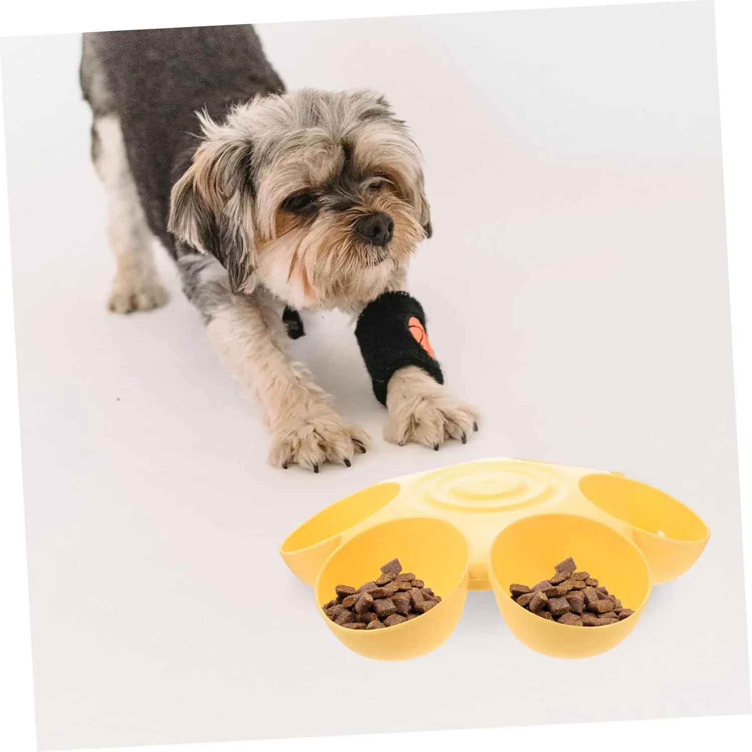 Pet Feeding Bowl Pet Feeders Cat Bowls for Food and Water Indoor Water Fountains Food Dispenser Eating Station for Cats Puppy Bowls Dog Food Bowls Travel Round Plastic Pet Supplies