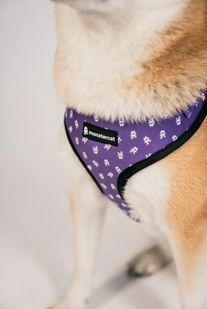 Pet Harness & Leashes