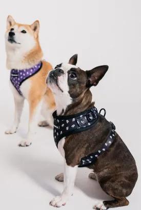 Pet Harness & Leashes