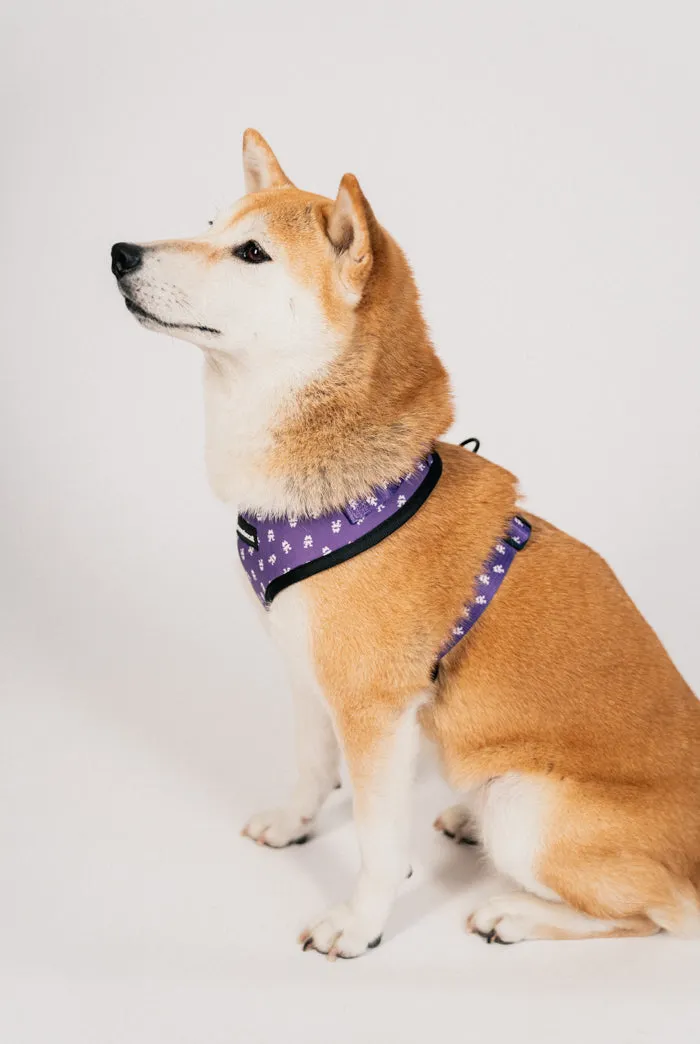 Pet Harness & Leashes