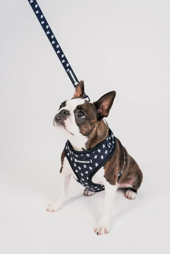Pet Harness & Leashes