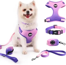 QQPETS Dog Harness Collar Leash with Poop Bag Holder 4 PCS Set, Adjustable No Pull Soft Mesh Padded Vest for Small Medium Large Pet Puppy Outdoor Walking (Gradient Purple, L (Chest 22.4-32.6))