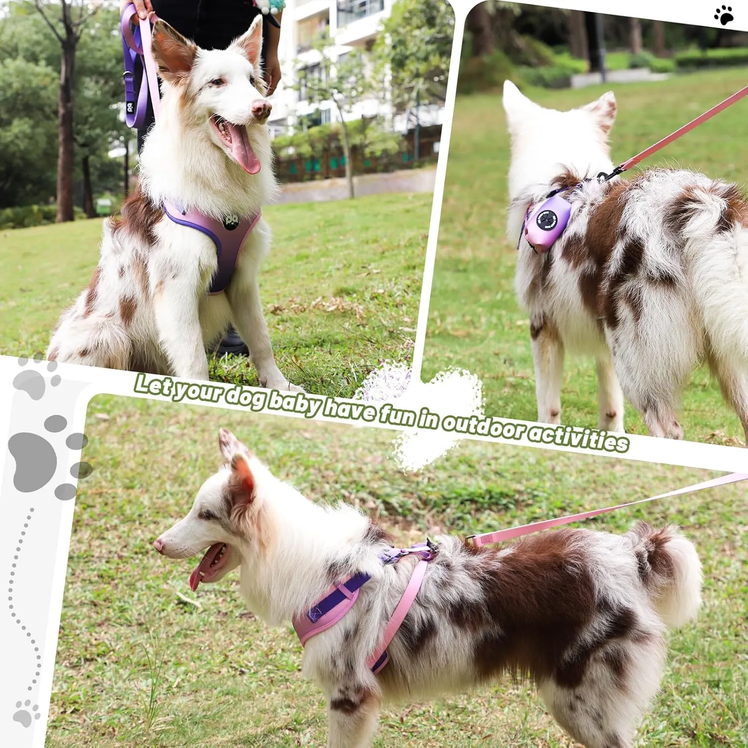 QQPETS Dog Harness Collar Leash with Poop Bag Holder 4 PCS Set, Adjustable No Pull Soft Mesh Padded Vest for Small Medium Large Pet Puppy Outdoor Walking (Gradient Purple, L (Chest 22.4-32.6))