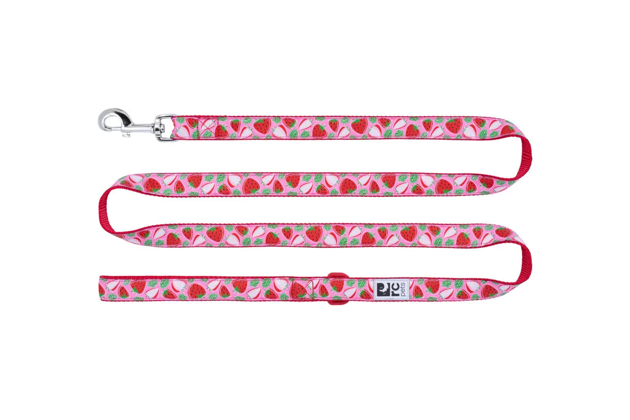 RC Pets 6-Foot, Dog Leash