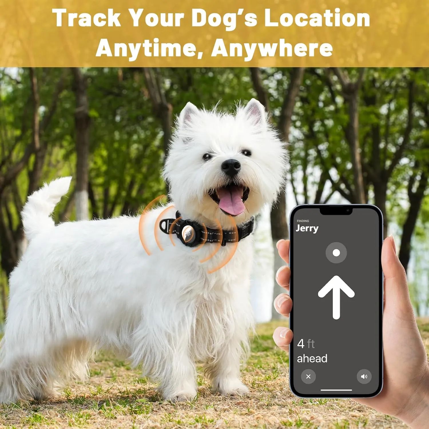 Taglory Reflective AirTag Dog Collar with Airtag Holder, Dual D-Rings, Safety Locking Buckle Durable, Adjustable Soft Padded for Small Dogs, Black, S