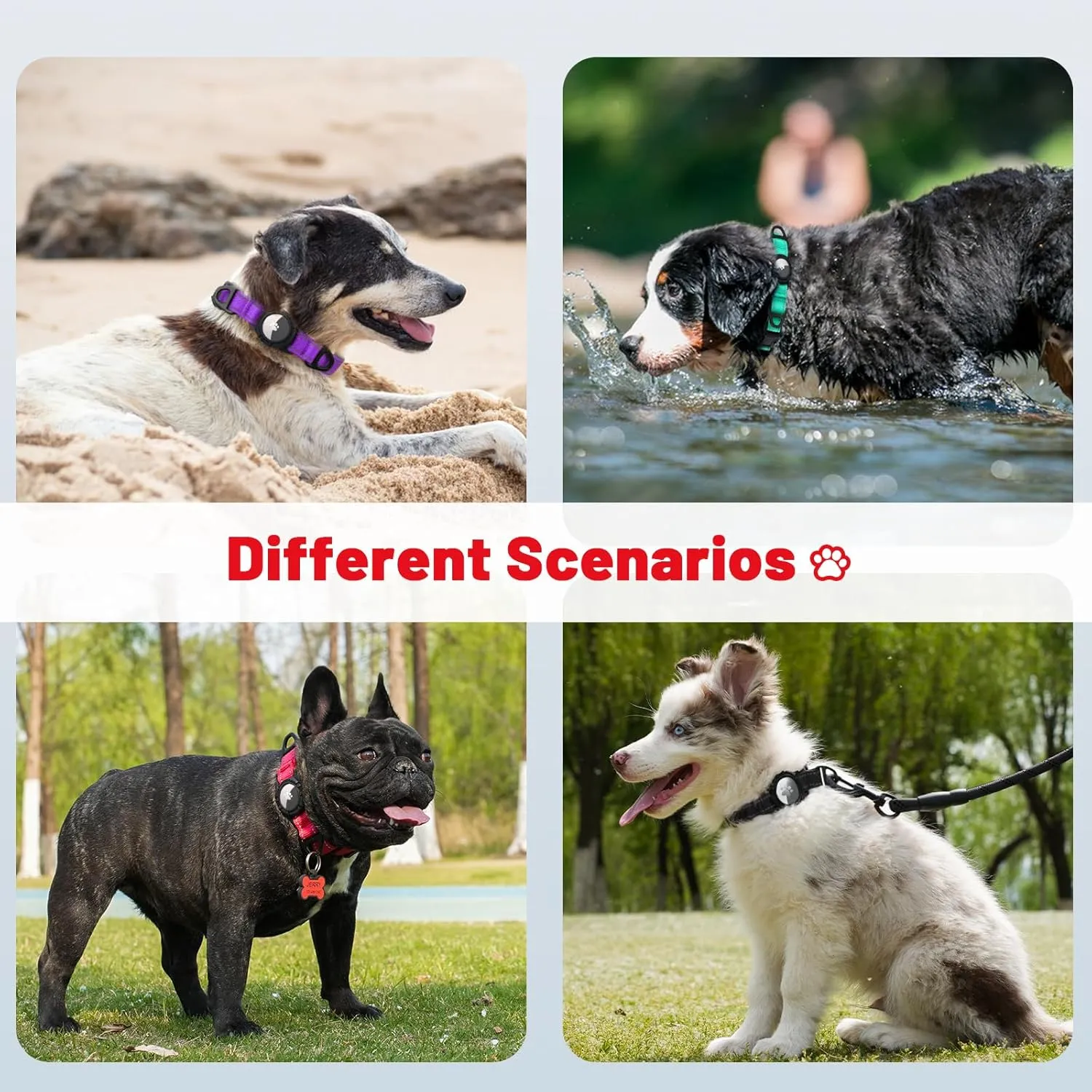 Taglory Reflective AirTag Dog Collar with Airtag Holder, Dual D-Rings, Safety Locking Buckle Durable, Adjustable Soft Padded for Small Dogs, Black, S