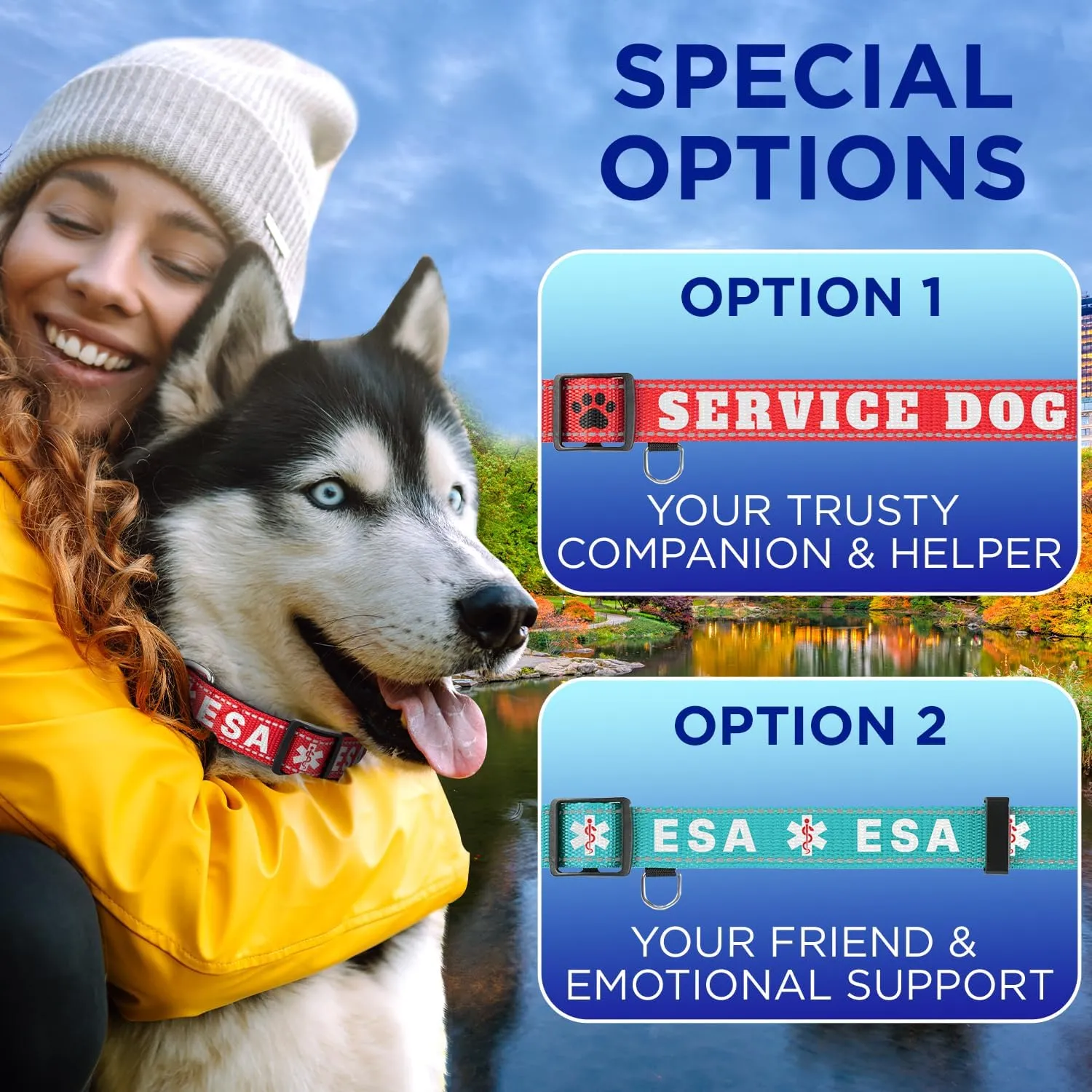 TECEUM Reflective Dog Collar Navy Blue M Extra Soft Padding Basic Nylon Pet Collar Quick Release Buckle Fits Small, Medium and Large Dogs, Puppies, Cats ESA & Service Dog Options