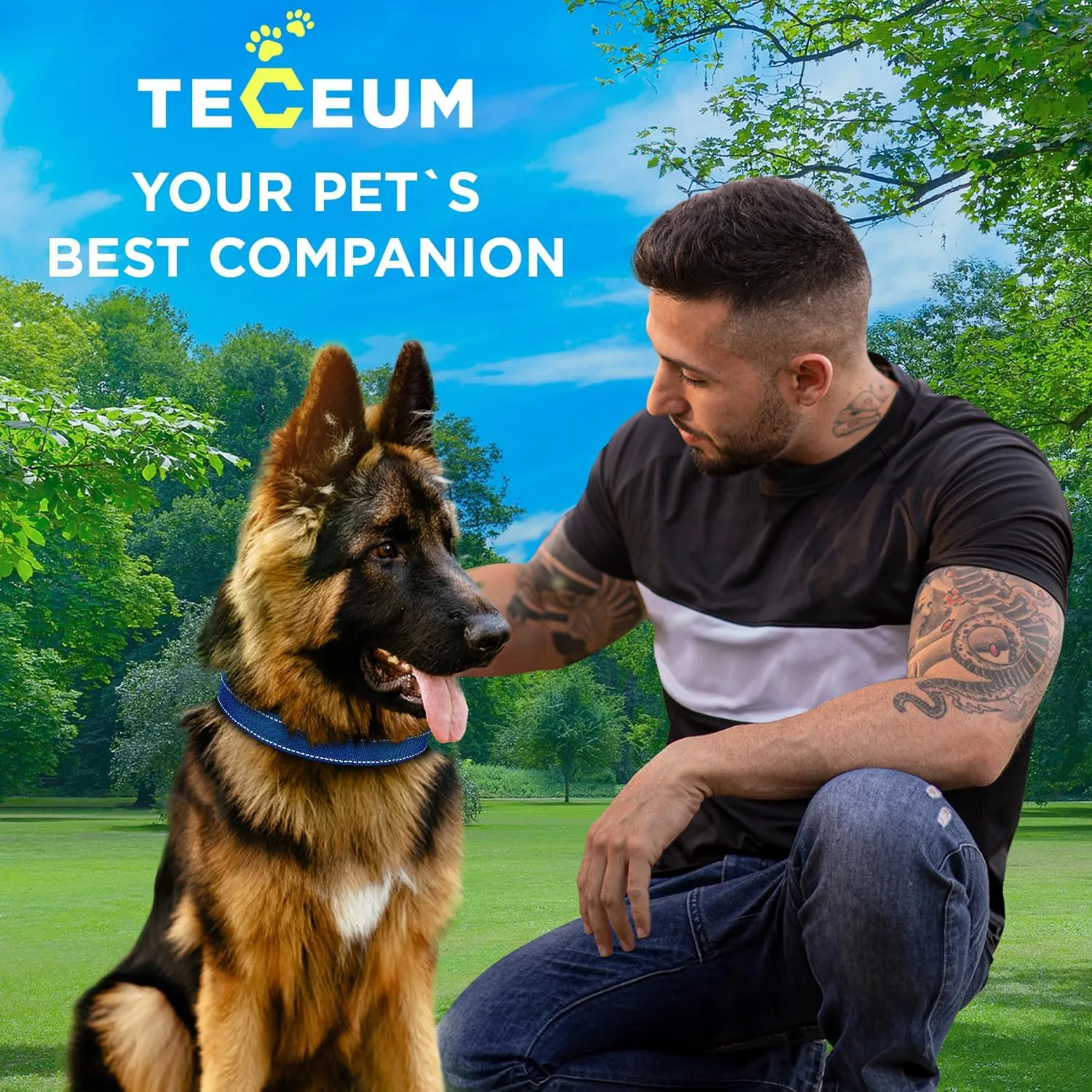 TECEUM Reflective Dog Collar  Navy Blue  M  Extra Soft Padding  Basic Nylon Pet Collar  Quick Release Buckle  Fits Small, Medium and Large Dogs, Puppies, Cats  ESA & Service Dog Options