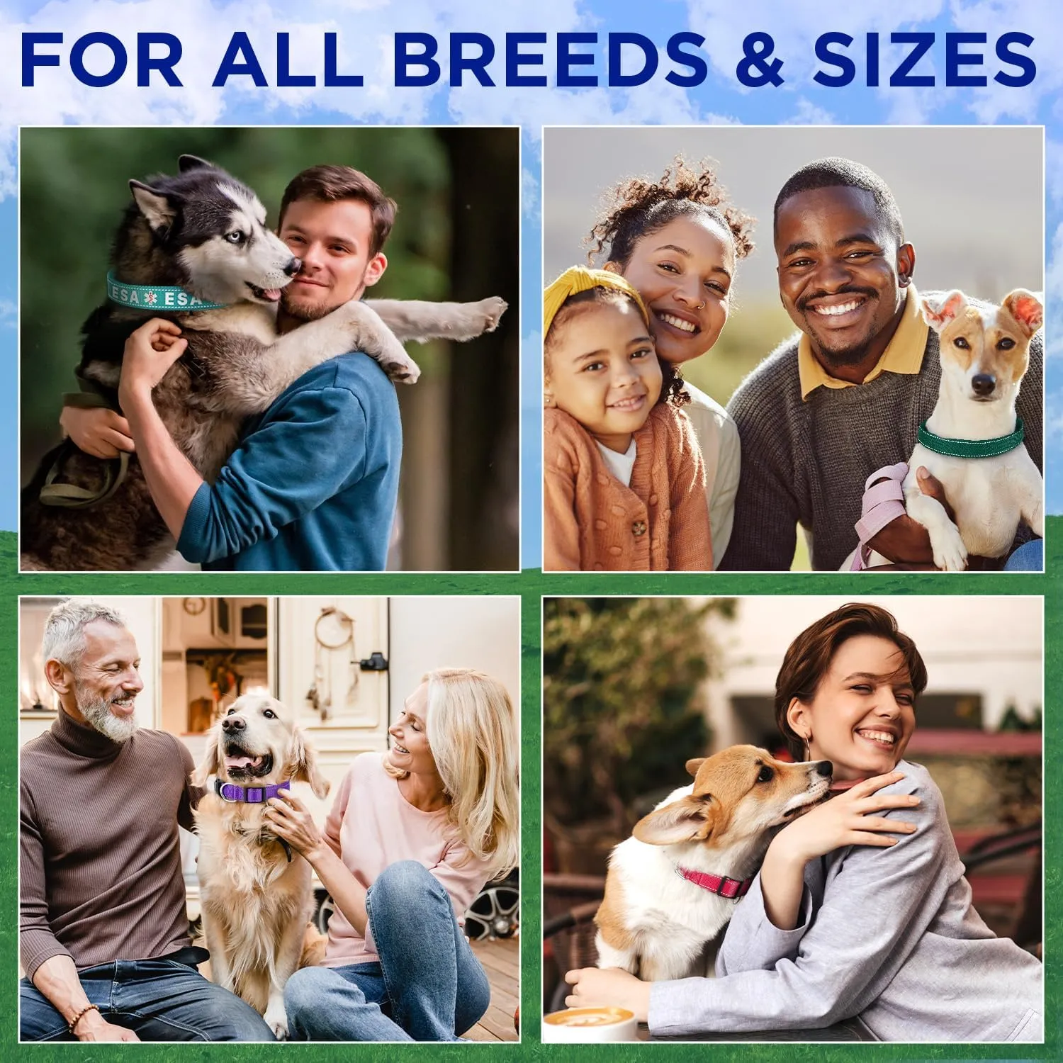 TECEUM Reflective Dog Collar Navy Blue M Extra Soft Padding Basic Nylon Pet Collar Quick Release Buckle Fits Small, Medium and Large Dogs, Puppies, Cats ESA & Service Dog Options