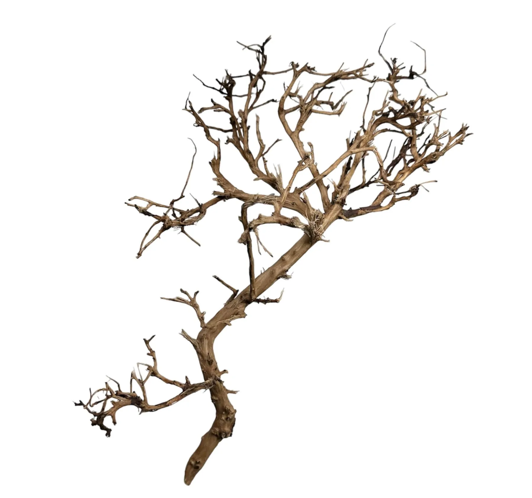 Thorndevil Driftwood - Natural Aquarium Driftwood - Safe for all aquariums