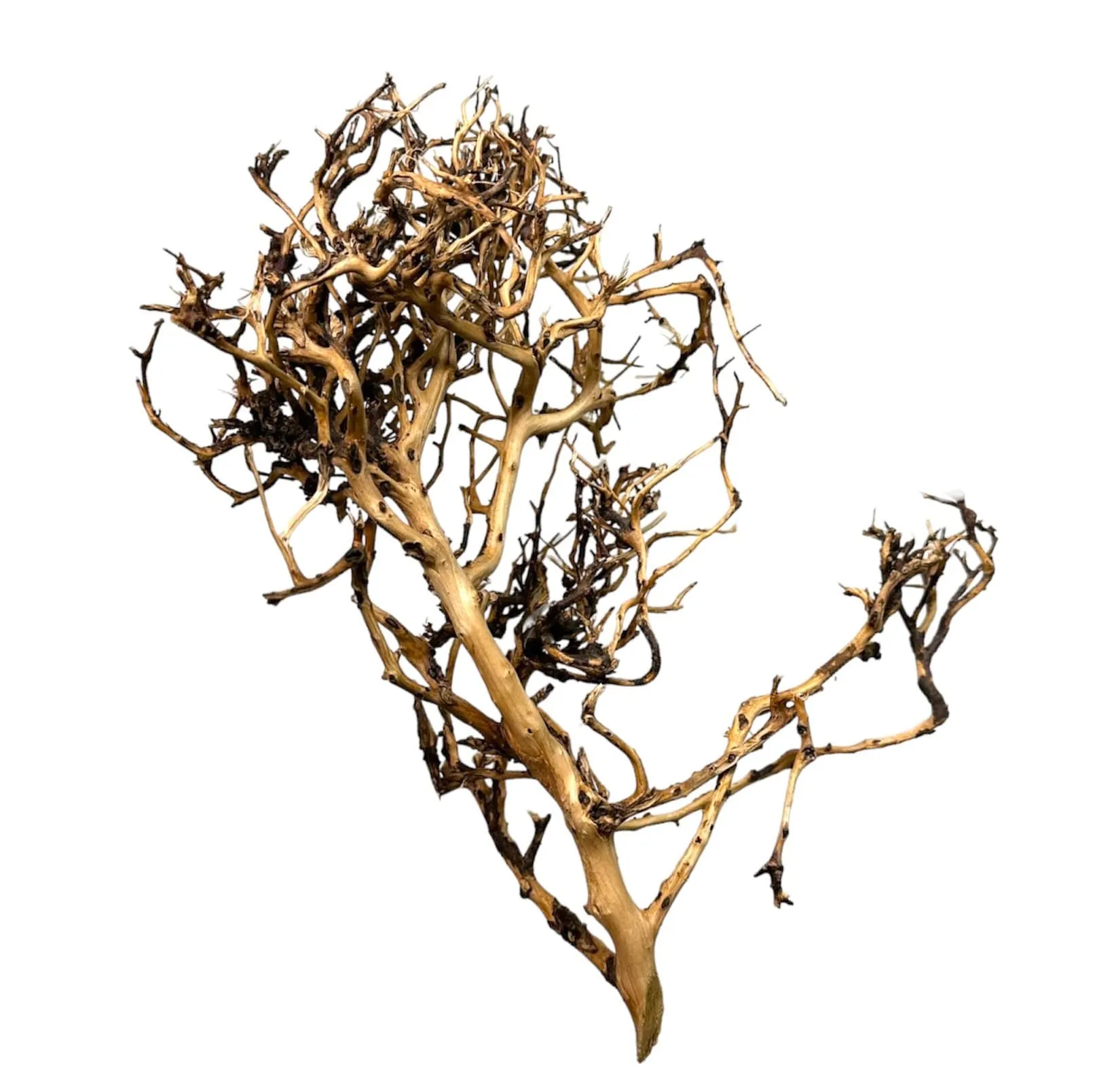Thorndevil Driftwood - Natural Aquarium Driftwood - Safe for all aquariums