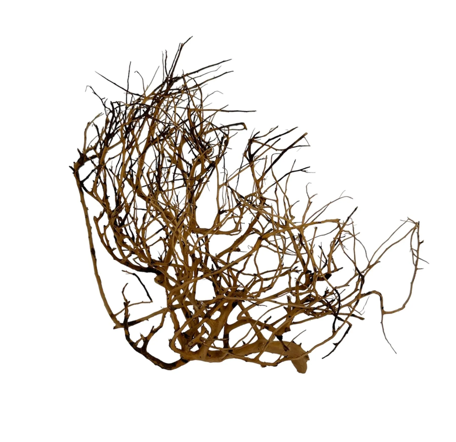 Thorndevil Driftwood - Natural Aquarium Driftwood - Safe for all aquariums